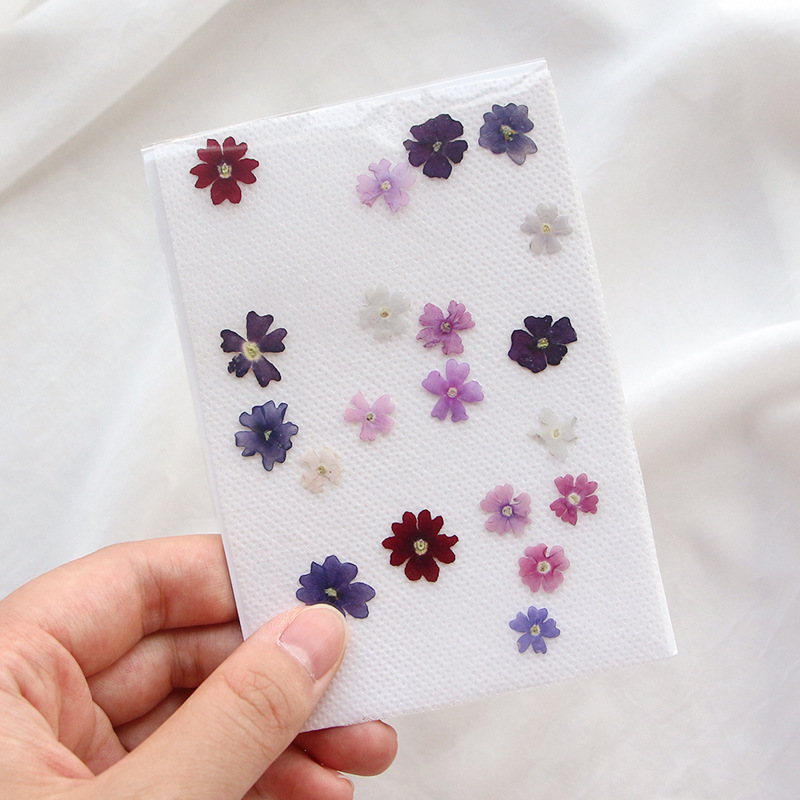40ชิ้น/ล็อตความงามขนาดเล็กกลีบ - Pressed Flower Frame บทวิจารณ์และราคา