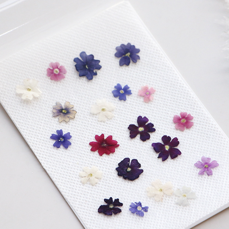 40ชิ้น/ล็อตความงามขนาดเล็กกลีบ - Pressed Flower Frame บทวิจารณ์และราคา