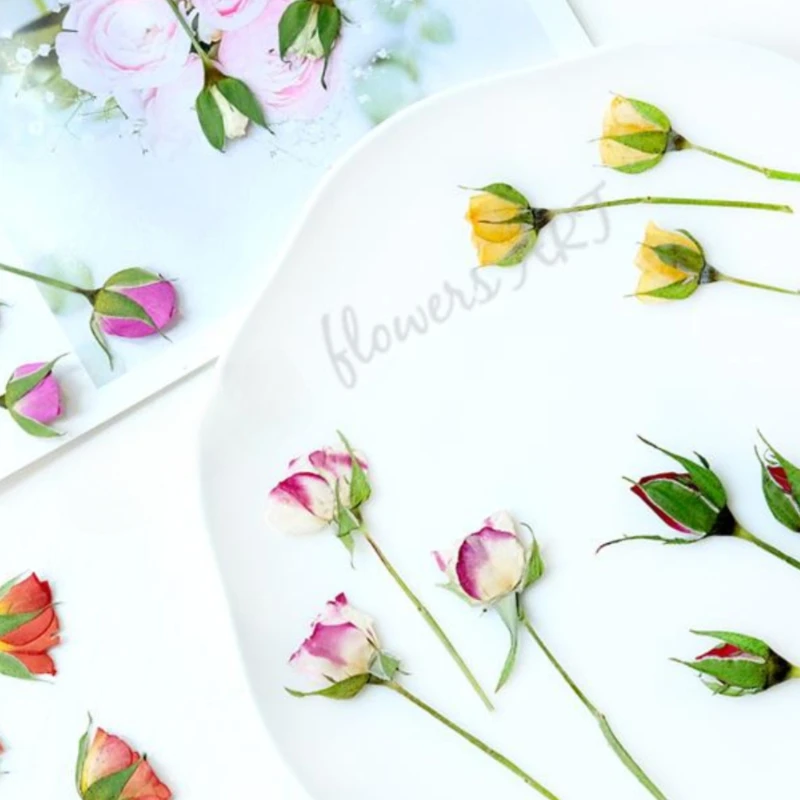 กลีบดอกกุหลาบอัดแห้ง DIY กรอบร - Pressed Flower Frame บทวิจารณ์และราคา