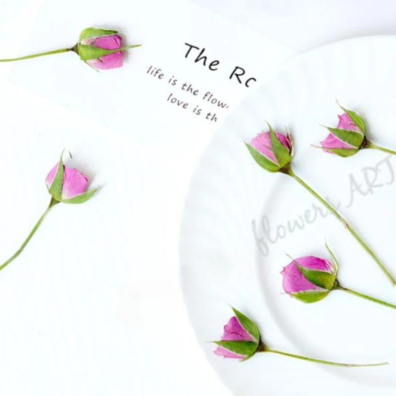 กลีบดอกกุหลาบอัดแห้ง DIY กรอบร - Pressed Flower Frame บทวิจารณ์และราคา