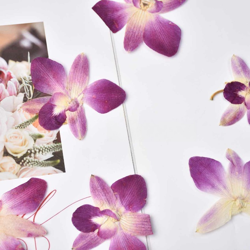 4 ชิ้น, ดอกกล้วยไม้ผีเสื้อแท้แ - Pressed Flower Frame บทวิจารณ์และราคา