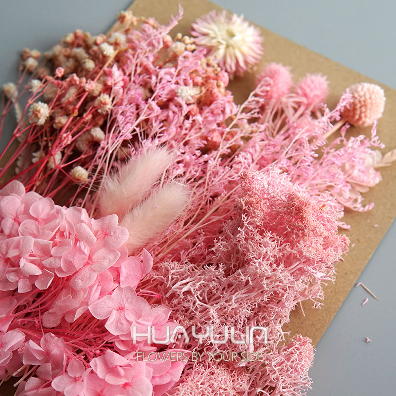 1 แพ็คพืชประดิษฐ์แห้งดอกไม้จริ - Home Decor Handicraft บทวิจารณ์และราคา