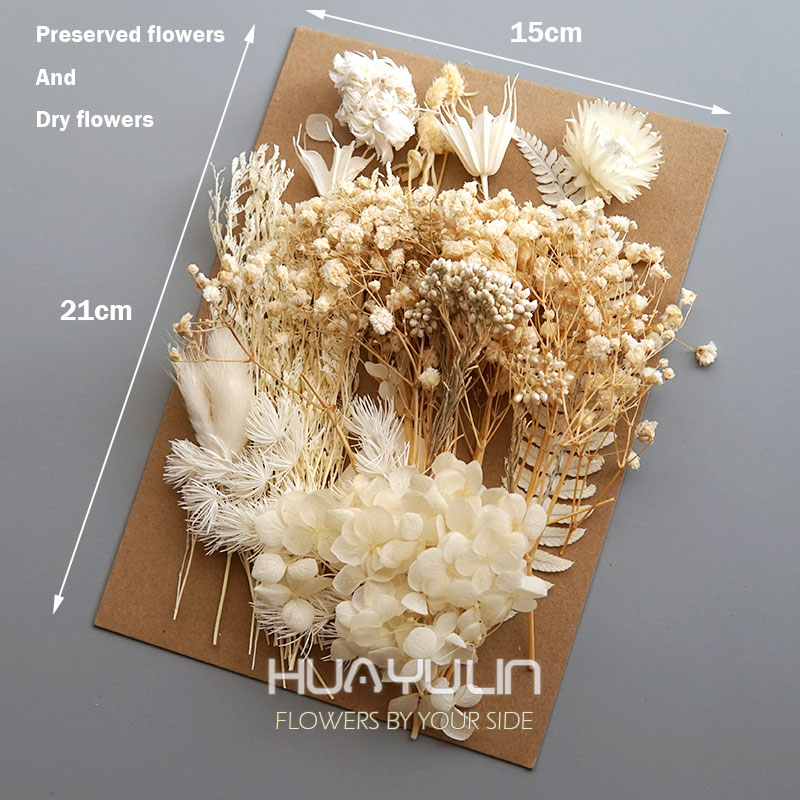 1 แพ็คพืชประดิษฐ์แห้งดอกไม้จริ - Home Decor Handicraft บทวิจารณ์และราคา