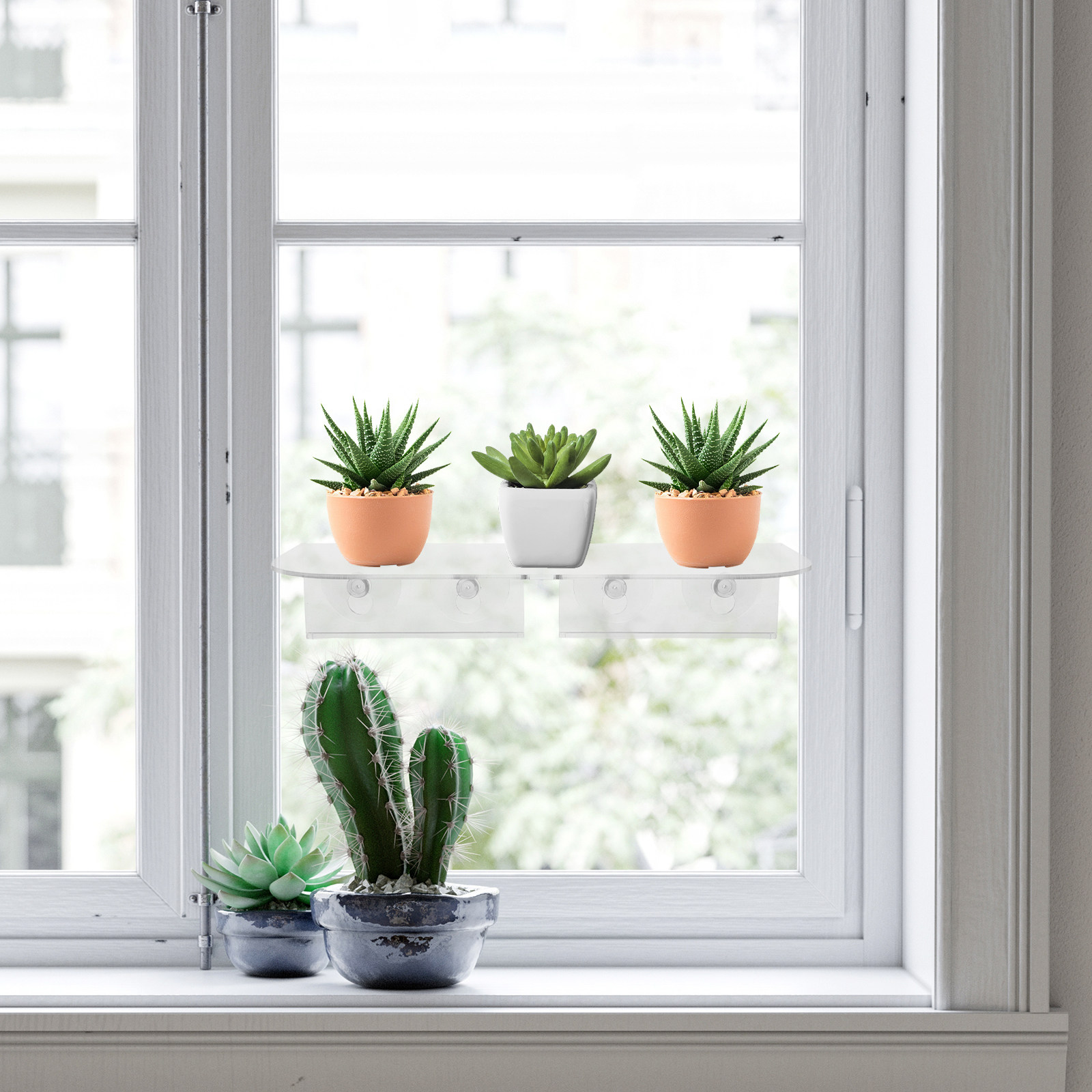 ชั้นวางต้นไม้แบบติดกระจกด้วยถ้ - Floating Shelves บทวิจารณ์และราคา